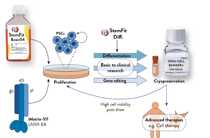 https://www.amsbio.com/wp//wp-content/uploads/2021/08/Stem-cell-synergy-advanced-therapies.png