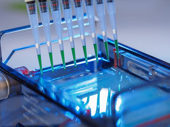 Electrophoresis Equipment | AMSBIO