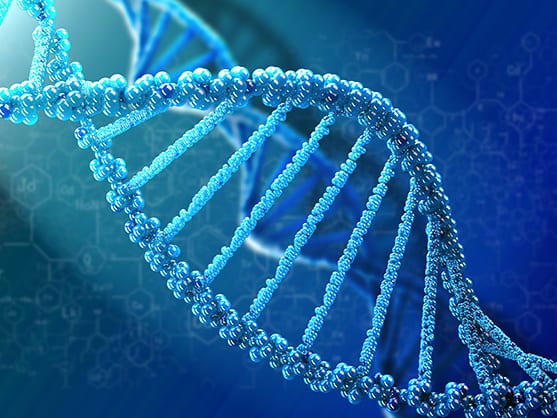 Aptamer Design and Synthesis | AMSBIO