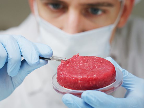 Cultured Meat Products | AMSBIO