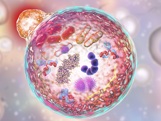 Cellular Metabolism - Research Areas | AMSBIO